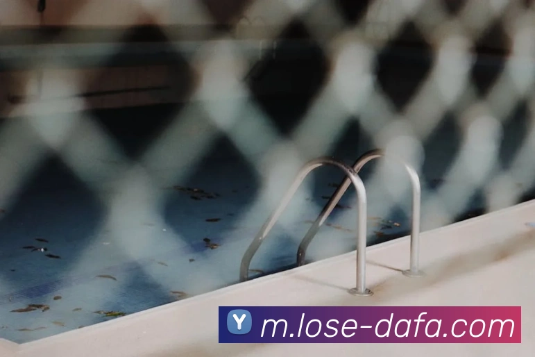 大发娱乐平台生态图